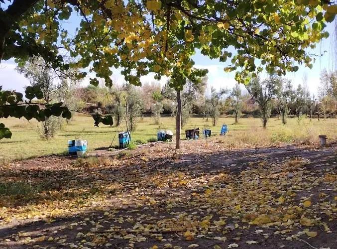 El Rancho